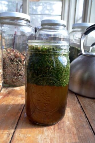 Can Nourishing Herbal Infusions Replace Your Daily Multivitamin?